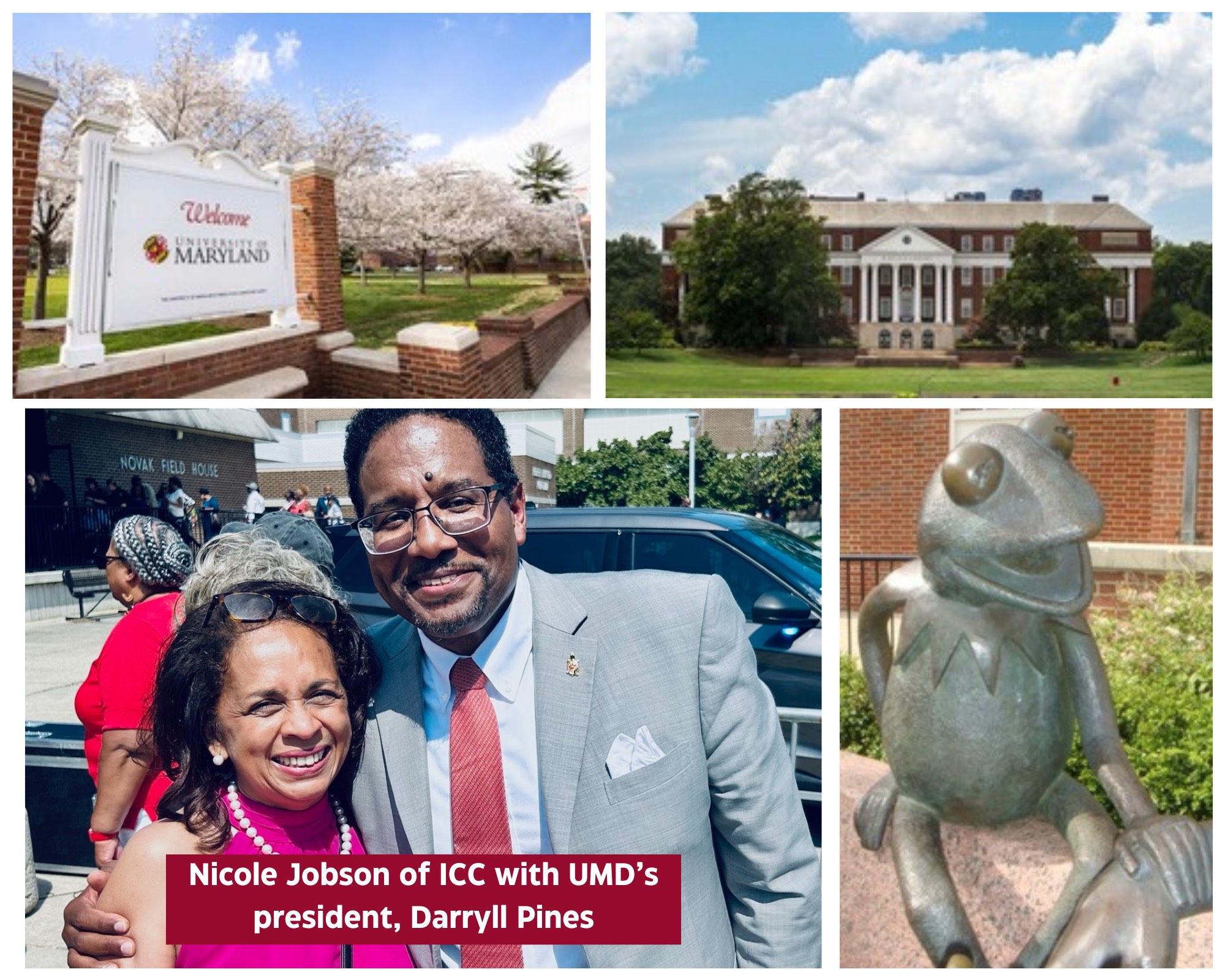 A photo supporting college advisors at International College Counselors offer an introduction to the University of Maryland, tips for UMD college admissions, and more.
