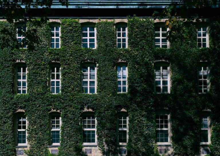 A photo illustrating International College counselors shares Ivy League Tips for getting into the school plus info on how the Ivy League schools came to be.