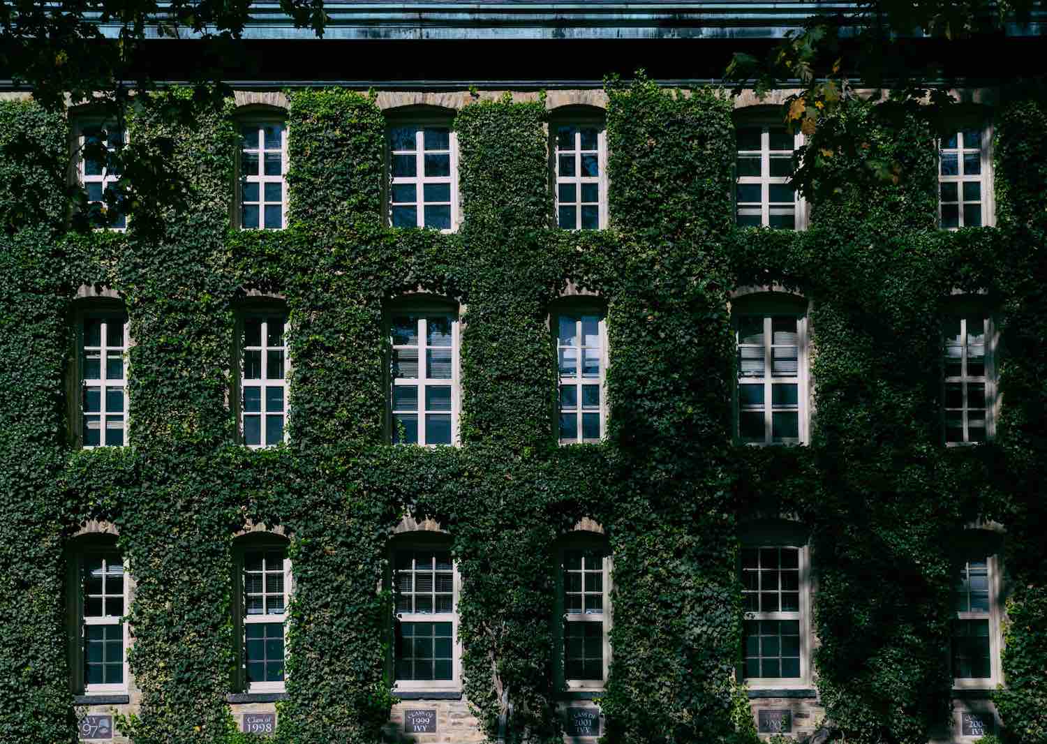 A photo illustrating International College counselors shares Ivy League Tips for getting into the school plus info on how the Ivy League schools came to be.