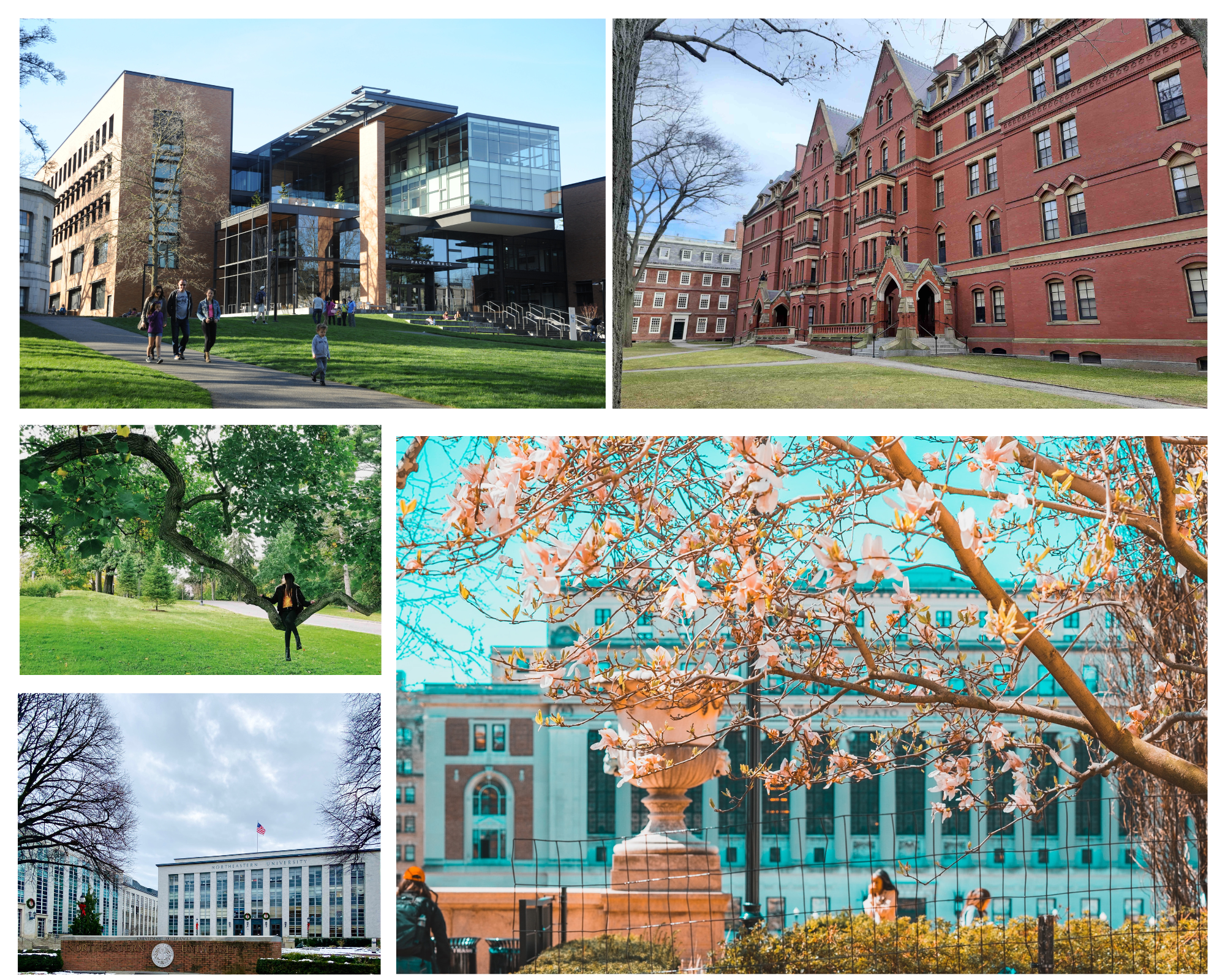 college-campus-visit-family-tour.jpg
